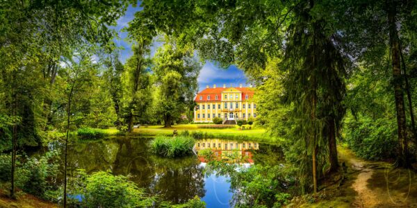 Rammenau – Majestätisch umrahmen Parkbäume das leuchtende Barockschloss